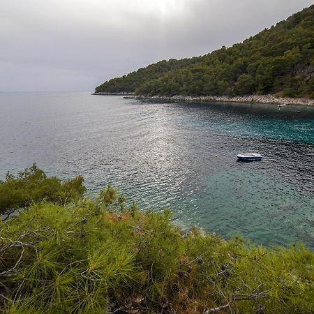 Secluded Fisherman'S Cottage Cove Skozanje, Hvar - 4009 Gdinj Ngoại thất bức ảnh
