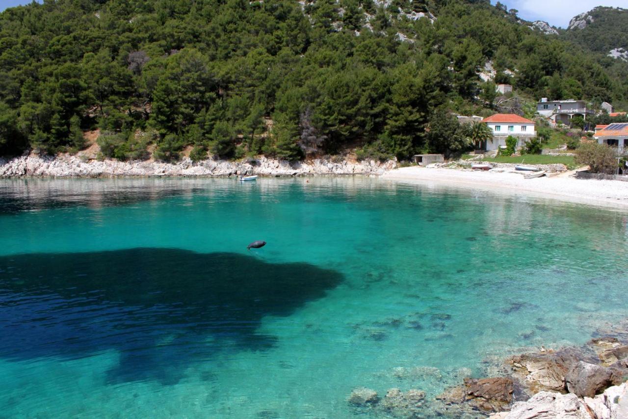 Secluded Fisherman'S Cottage Cove Skozanje, Hvar - 4009 Gdinj Ngoại thất bức ảnh